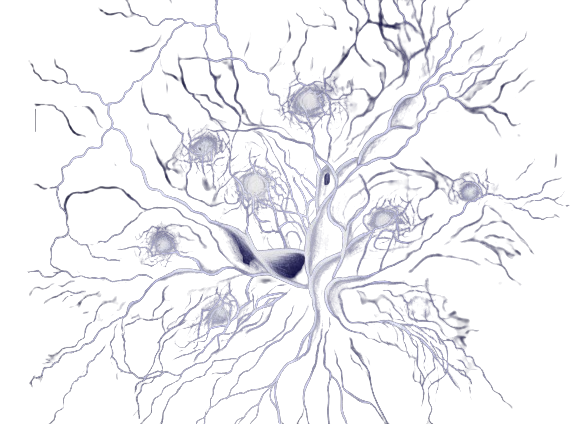 Neural network tree illustration